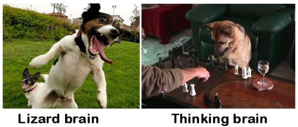 lizard brain thinking brain