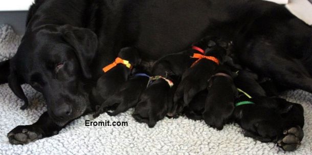 3-26-16 birthday group photo