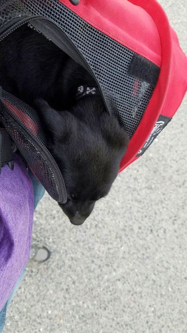 5-24-16 Exploring from the crate