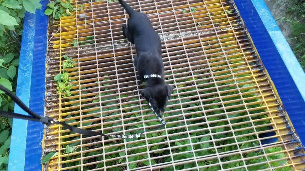 5-24-16 No fear of this