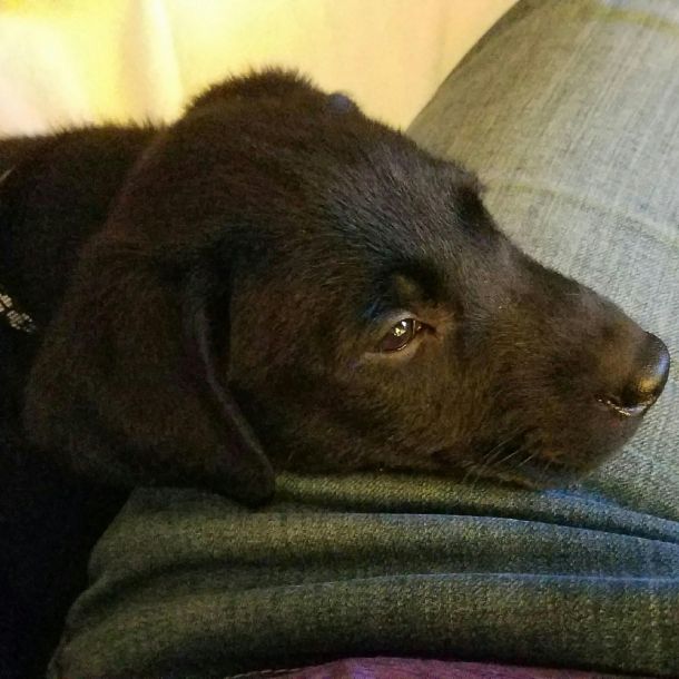 5-24-16 Too sleepy to sleep