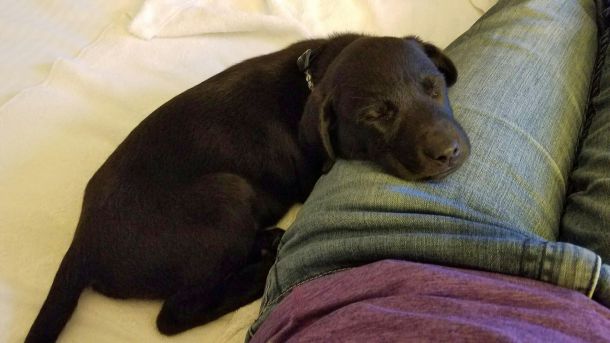 5-24-16 Too tired to stay awake