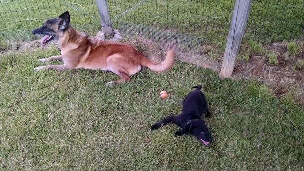 5-26-16 And hes off Sm