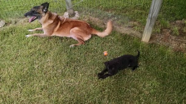 5-26-16 By Dazzle Sm