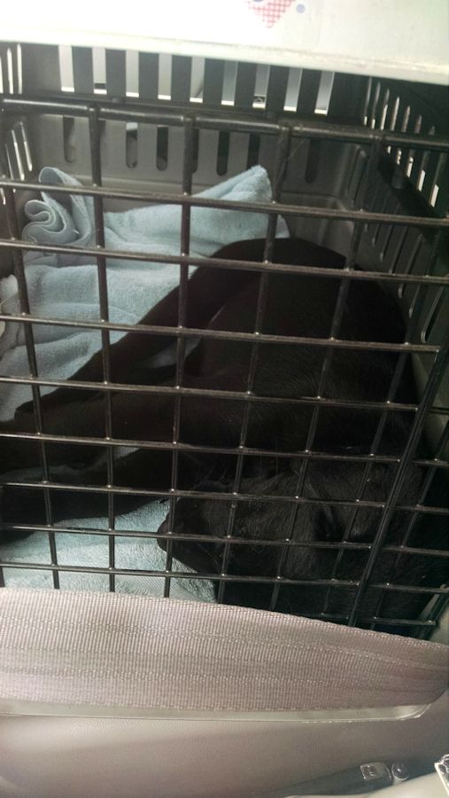 5-26-16 First ride with me sm