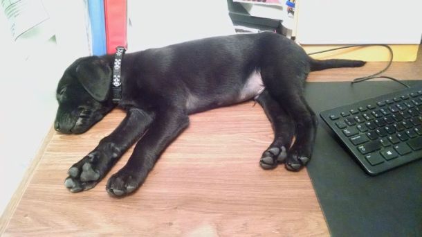 5-26-16 on my desk sm