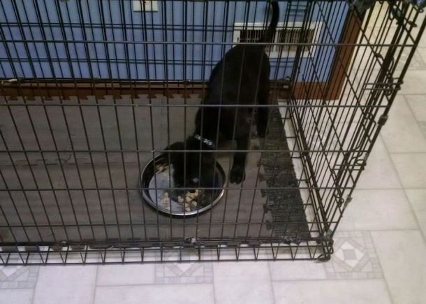 5-27-16 Good to the last bite Sm