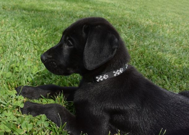 5-27-16 Profile2 almost 9 weeks Sm