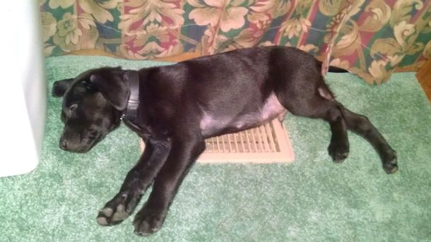 5-28-18 Cool spot Sm