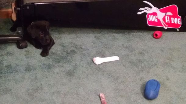 5-29-16 fav hiding spot Sm