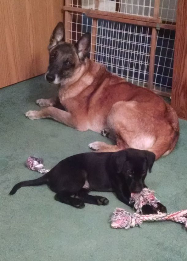 5-29-16 Hanging together Sm