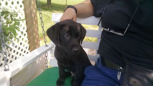 5-29-16 Just a swangin Sm