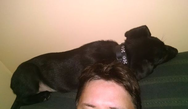 5-29-16 Sleeping spot Sm