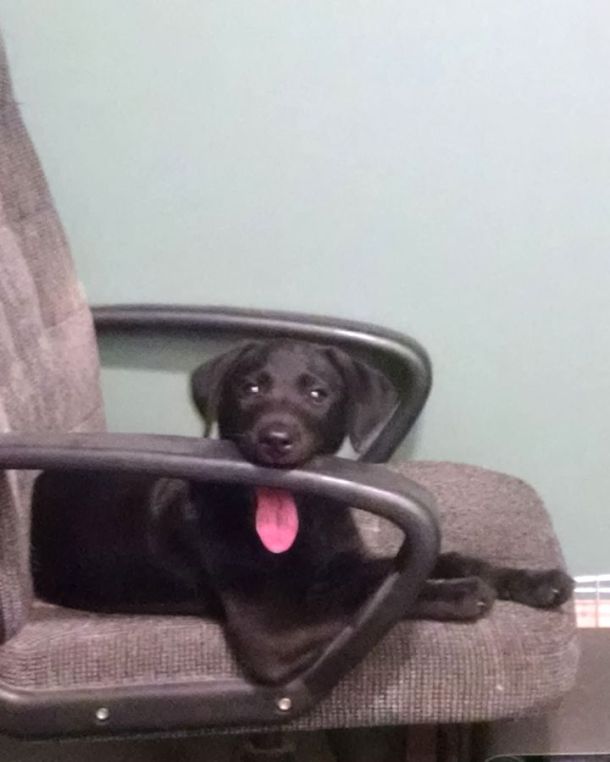 6-13-16 Im not chewing Sm