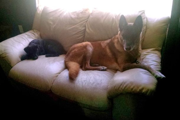 6-13-16 sitting together Sm