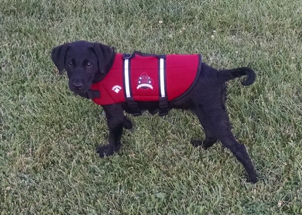 6-23-16 life jacket Sm