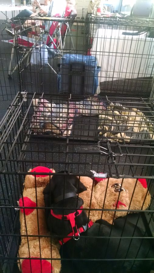 6-24-16 CCDTC BH trial Sm