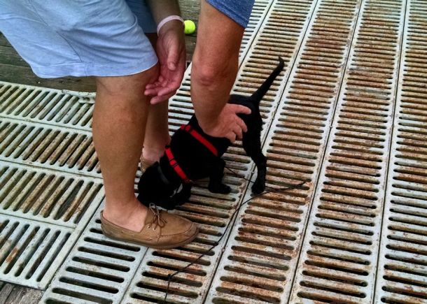 6-3-16 meeting new people Sm