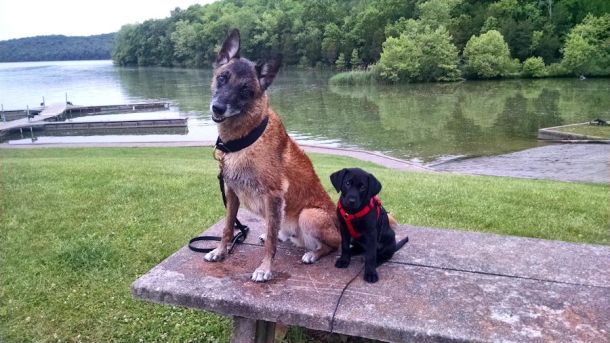 6-3-16 posing with Dazzle Sm