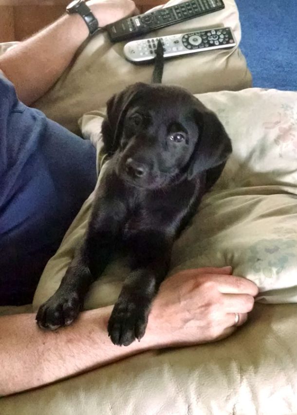 6-3-16 sucking up Sm