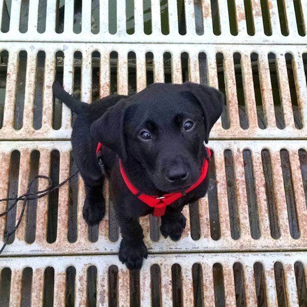 6-3-16 What a face Sm