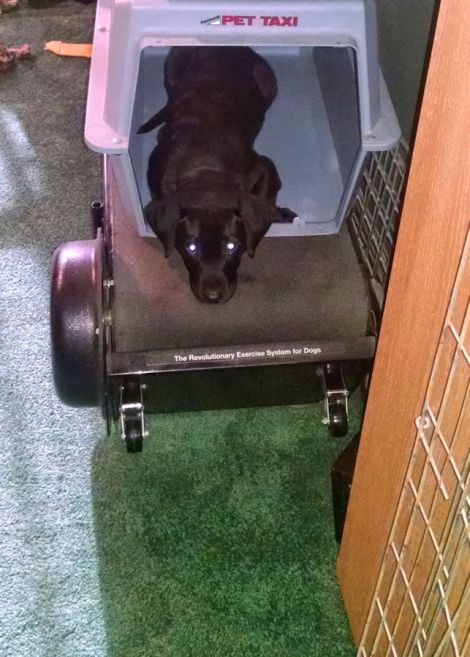 6-5-16 waiting for me sm