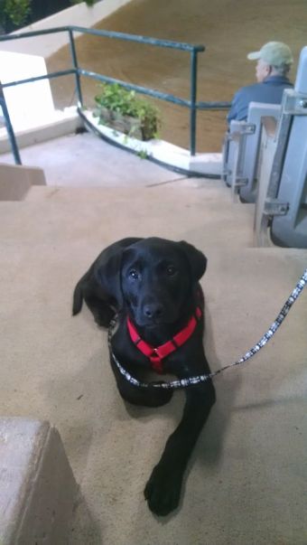 6-7-16 Chilling in the big barn Sm