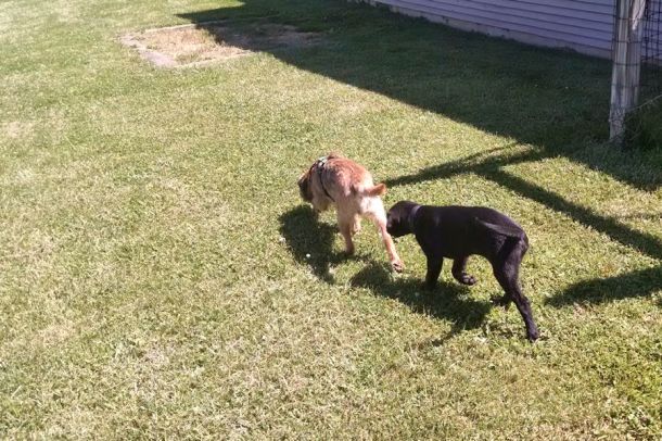 6-8-16 Following Earl Sm