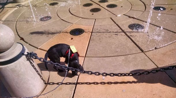 6-8-16 Newport7,jpg Sm