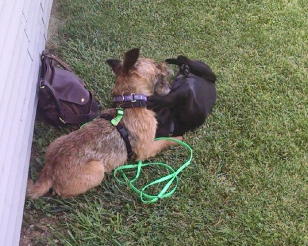 6-8-16 Playing with Earl Sm