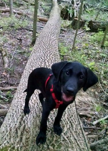 7-1-16 first hike Sm