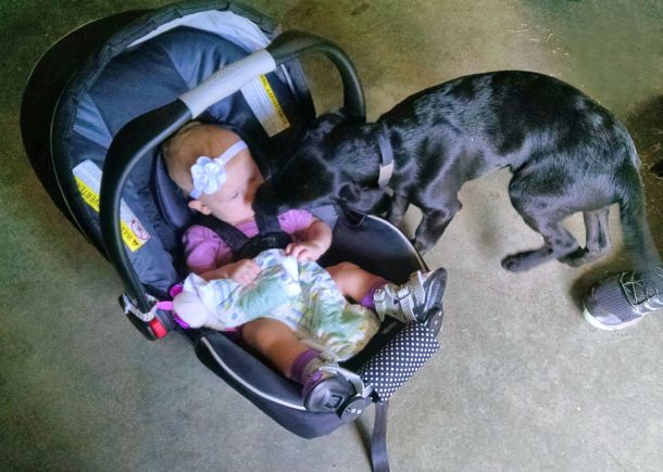 7-1-16 Meeting a baby Sm