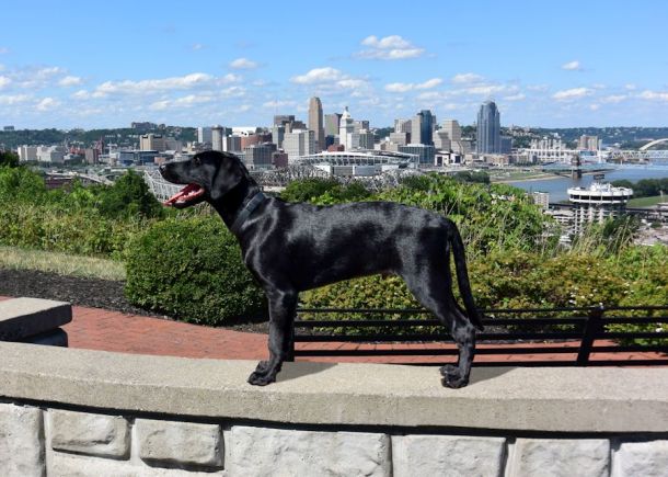 7-16-16 Sixteen weeks old 5x7 sm