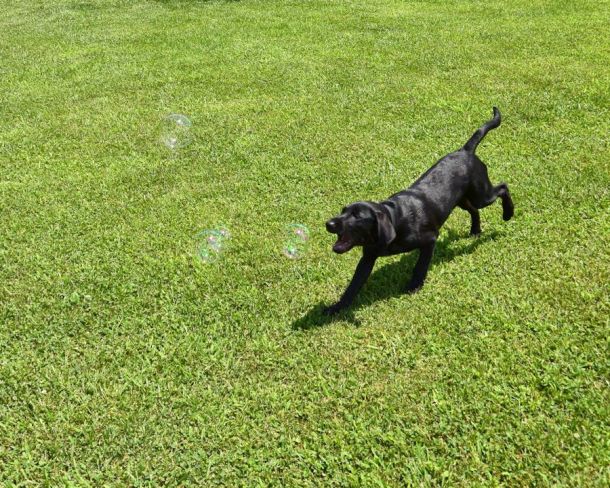 7-19-16 Bubbles 3 sm