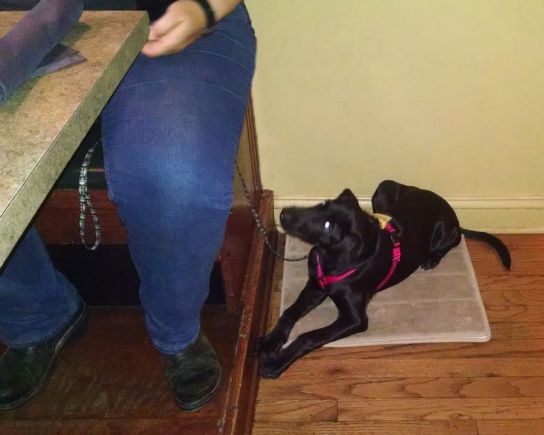 7-23-16 relaxing at the restaurant1 sm