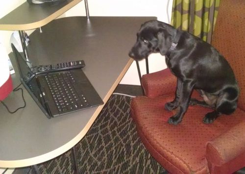 7-24-16 checking for msg sm