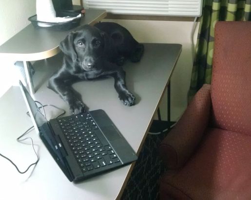 7-24-16 ready to supervise sm