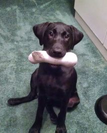 7-27-16 found this sm