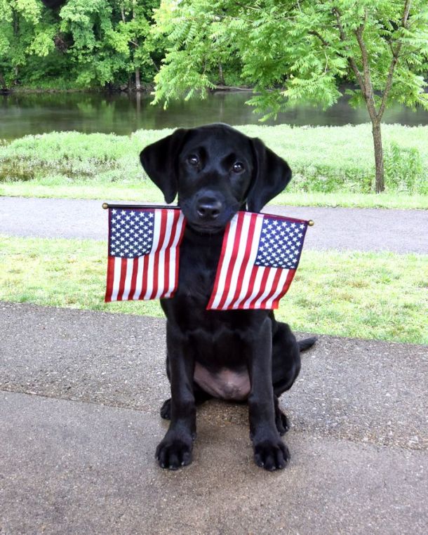 7-4-16 Happy 4th c SM