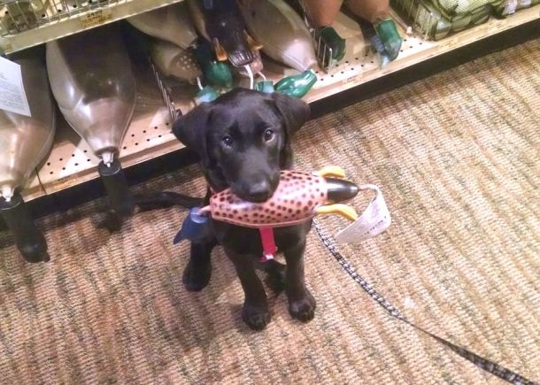 7-7-16 This one please Sm