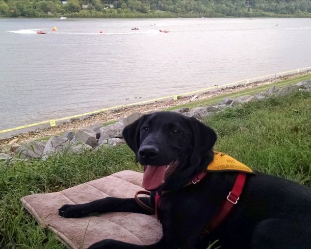 8-13-16 Power boat races sm