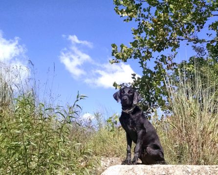 9-1-16 Campbell Preserve sm