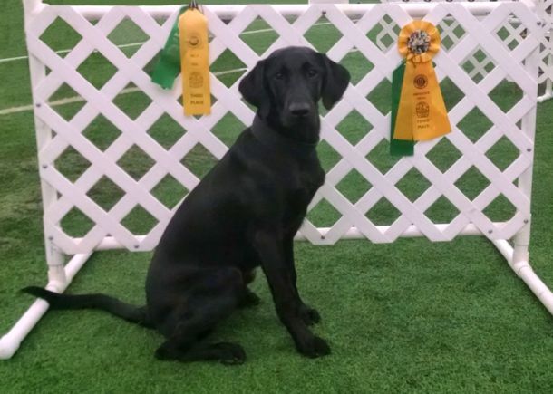 9-25-16-first-obed-ribbons-sm