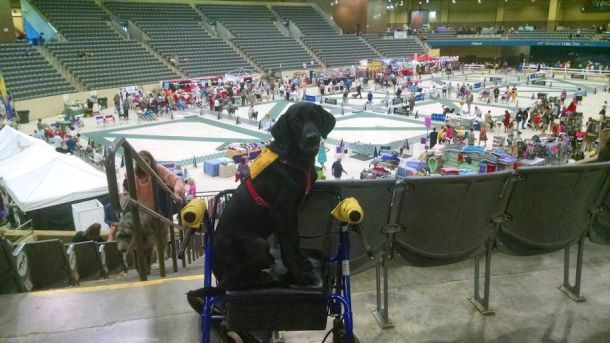 9-4-16-bluegrass-classic-arena-sm