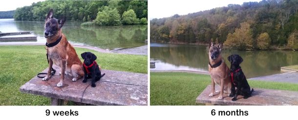 10-13-16-9wks-vs-6-mo-sm