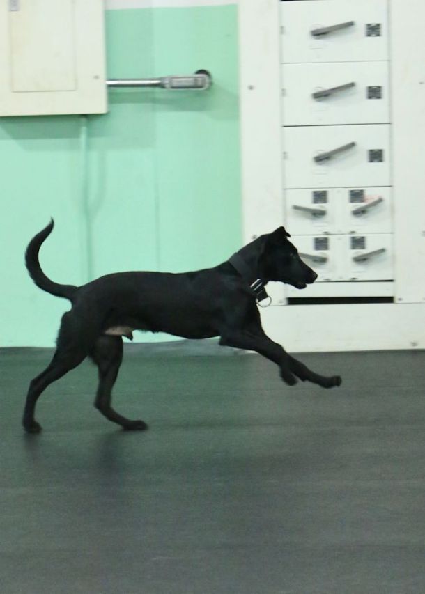 10-21-16-obed-recall-2-sm