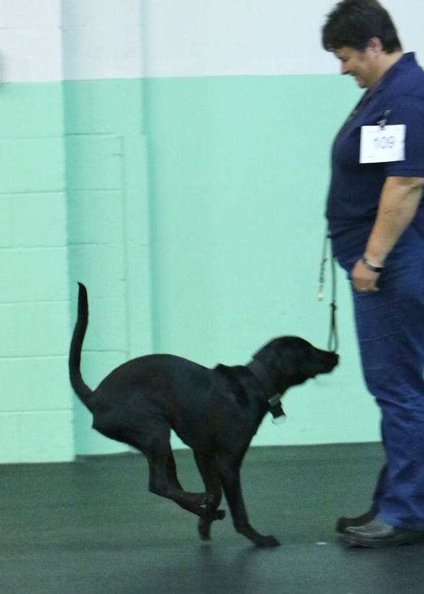 10-21-16-obed-recall-3-sm