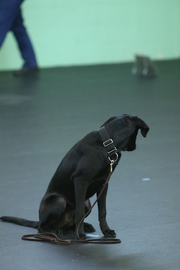 10-21-16-obed-stay-sm