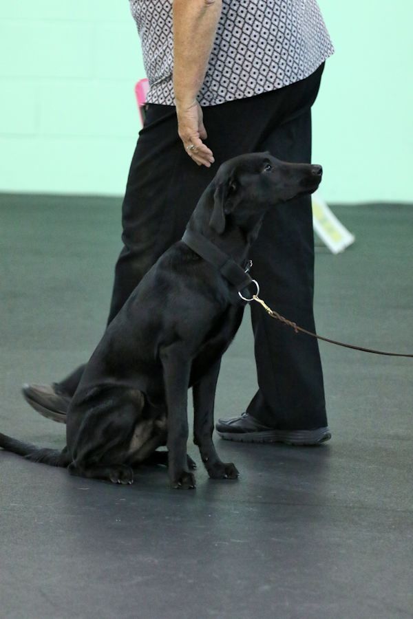 10-22-16-sat-obed-sit-for-exam-3-sm