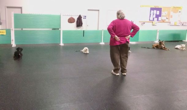 10-26-16-novice-class-sm